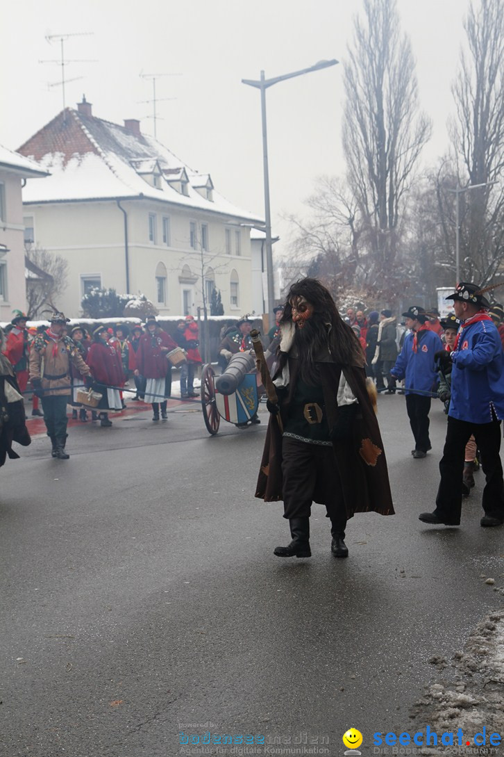 Narrentreffen-Radolfzell-20012013-bodensee-community-seechat-de_143.JPG