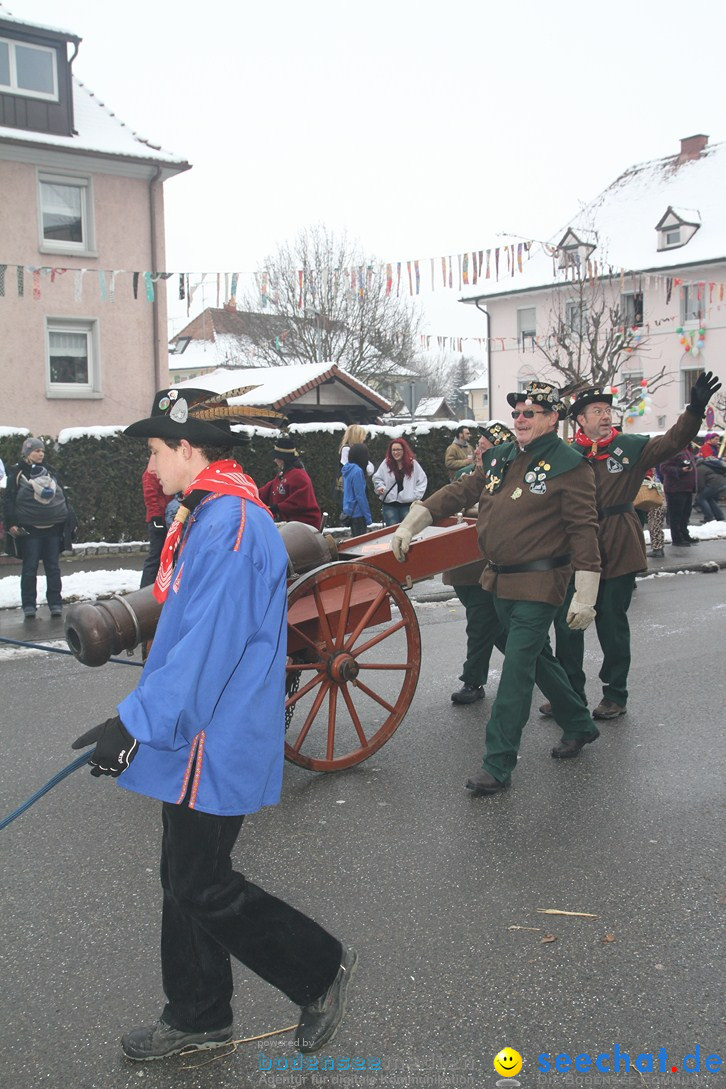 Narrentreffen-Radolfzell-20012013-bodensee-community-seechat-de_144.JPG