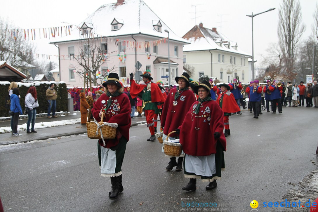 Narrentreffen-Radolfzell-20012013-bodensee-community-seechat-de_145.JPG