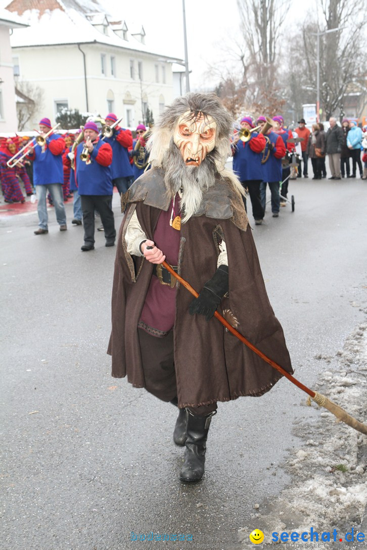 Narrentreffen-Radolfzell-20012013-bodensee-community-seechat-de_146.JPG