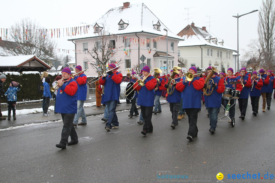 Narrentreffen-Radolfzell-20012013-bodensee-community-seechat-de_147.JPG