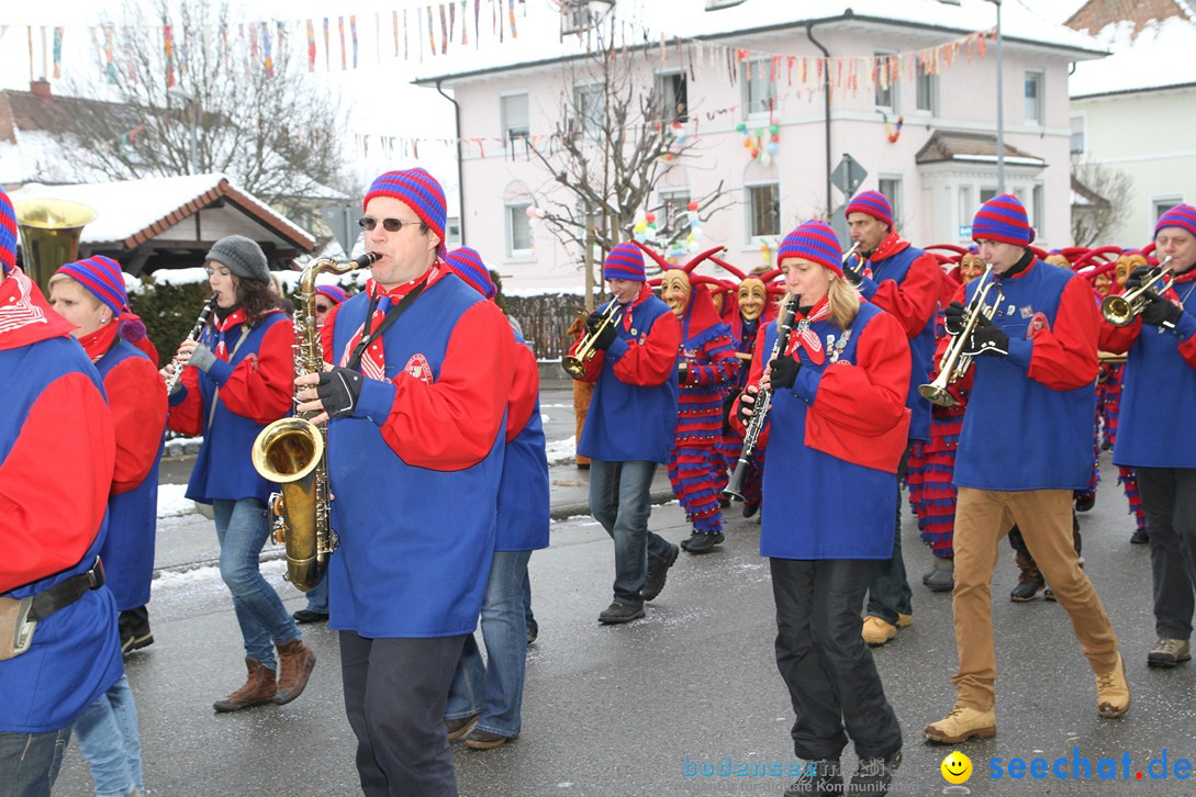 Narrentreffen-Radolfzell-20012013-bodensee-community-seechat-de_148.JPG