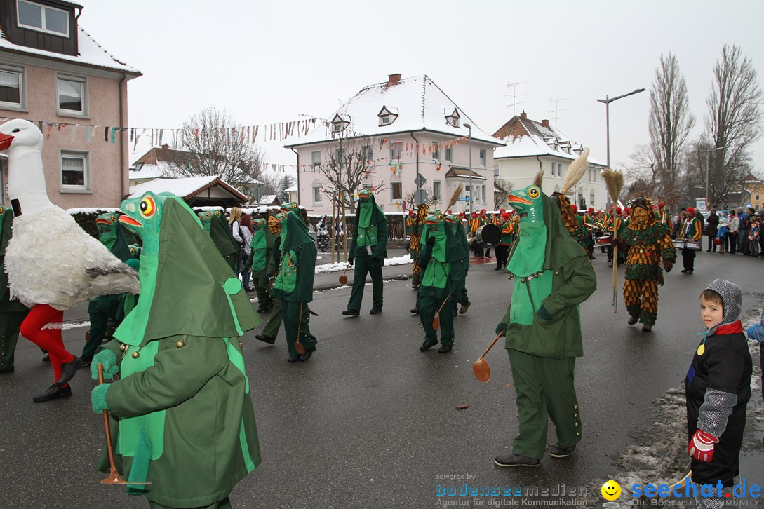 Narrentreffen-Radolfzell-20012013-bodensee-community-seechat-de_149.JPG