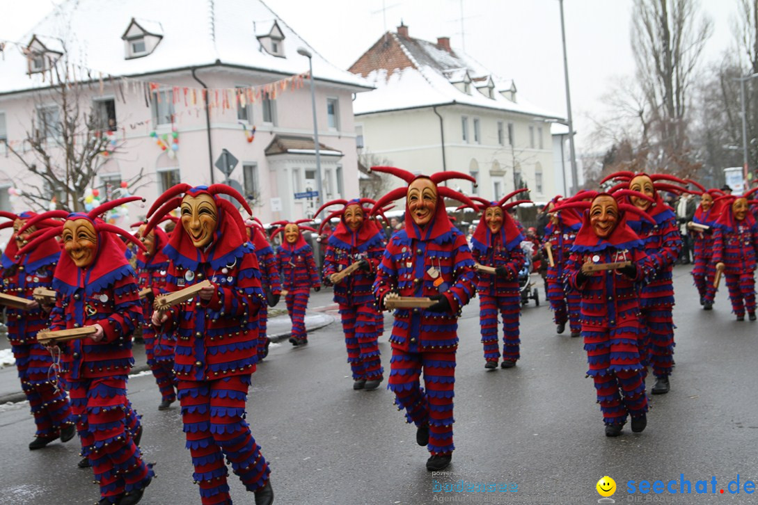 Narrentreffen-Radolfzell-20012013-bodensee-community-seechat-de_15.JPG