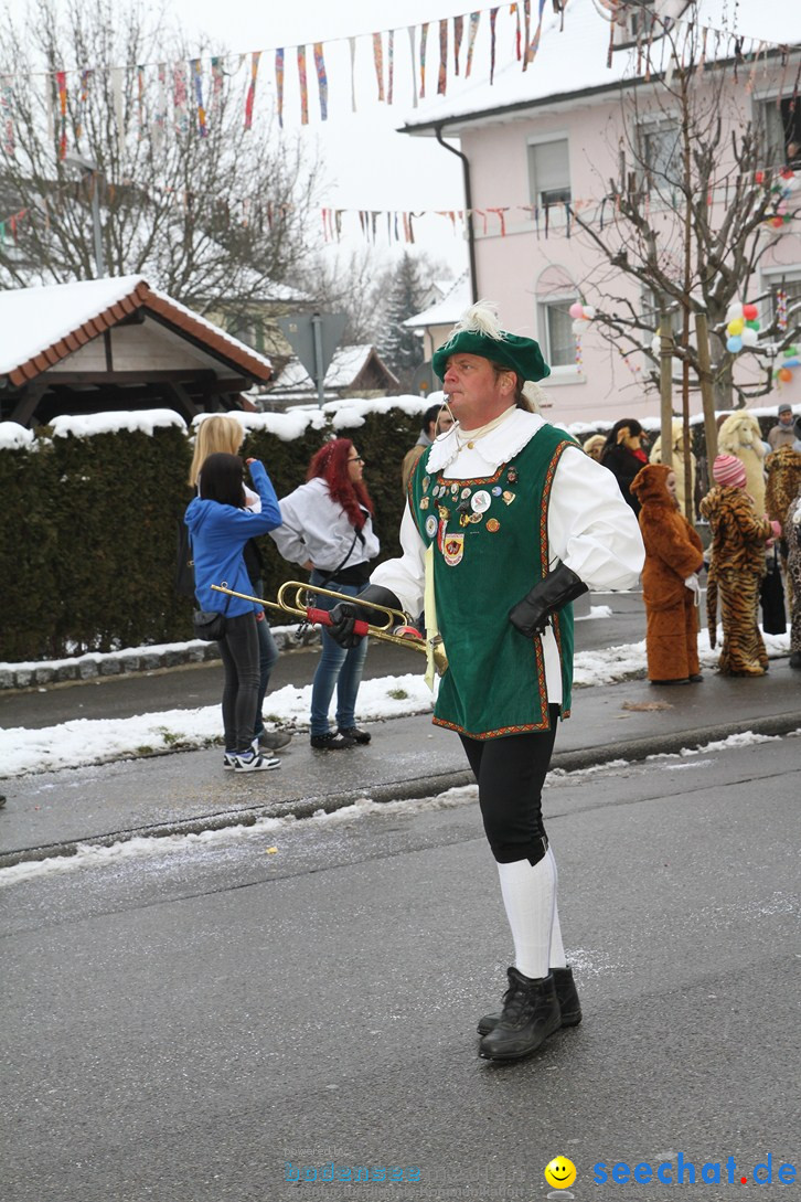 Narrentreffen-Radolfzell-20012013-bodensee-community-seechat-de_151.JPG