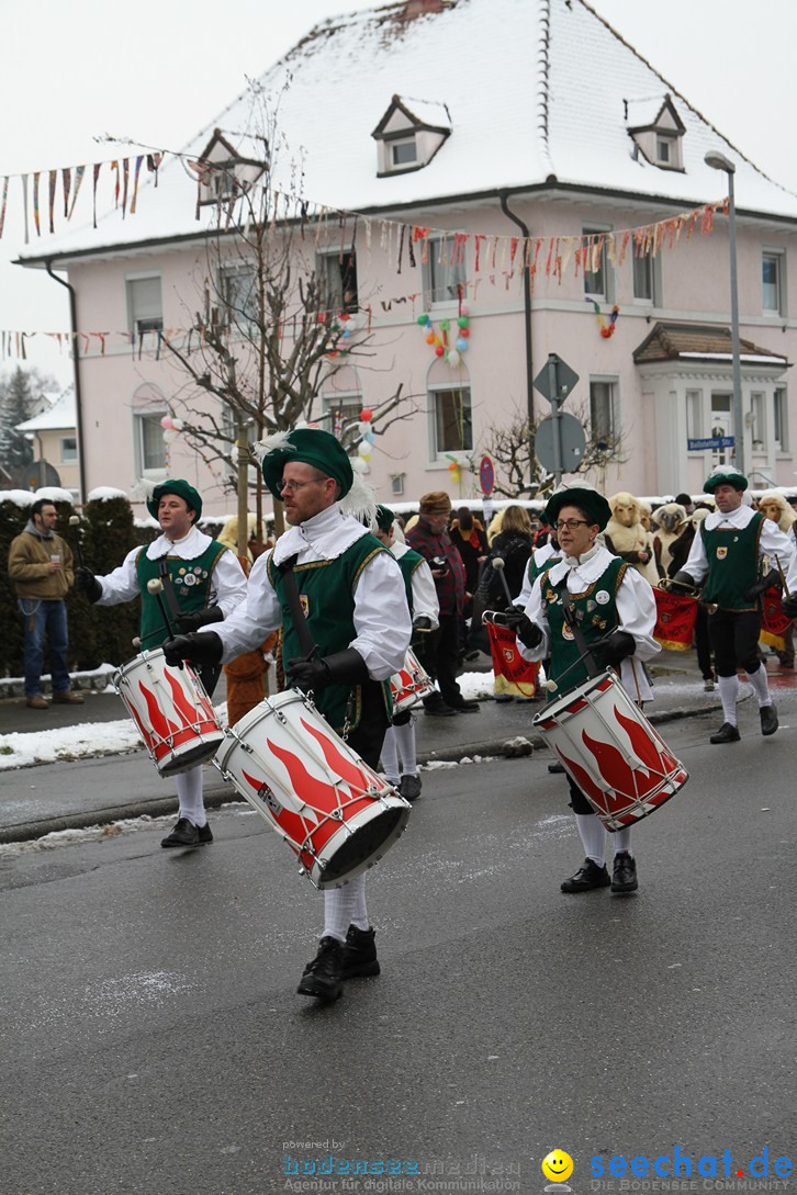 Narrentreffen-Radolfzell-20012013-bodensee-community-seechat-de_152.JPG