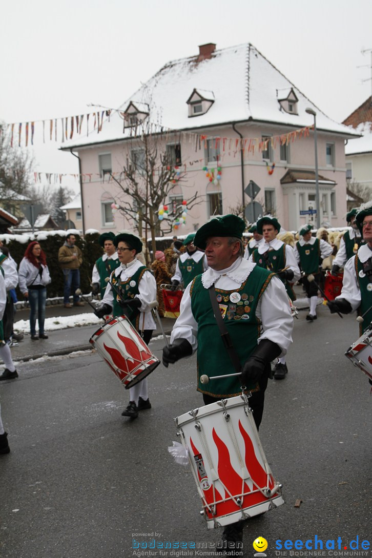 Narrentreffen-Radolfzell-20012013-bodensee-community-seechat-de_153.JPG