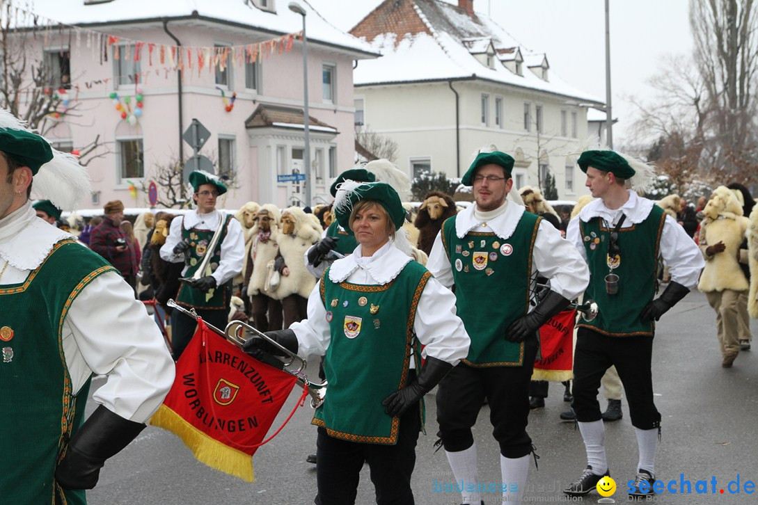 Narrentreffen-Radolfzell-20012013-bodensee-community-seechat-de_154.JPG