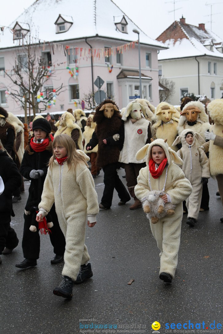 Narrentreffen-Radolfzell-20012013-bodensee-community-seechat-de_155.JPG