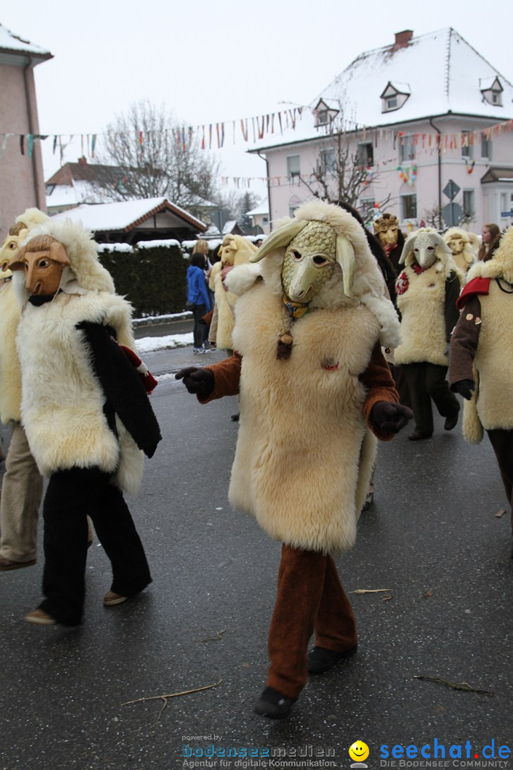 Narrentreffen-Radolfzell-20012013-bodensee-community-seechat-de_157.JPG