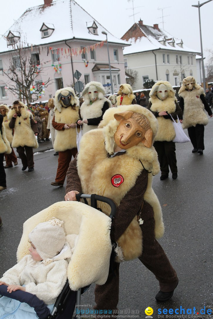 Narrentreffen-Radolfzell-20012013-bodensee-community-seechat-de_158.JPG