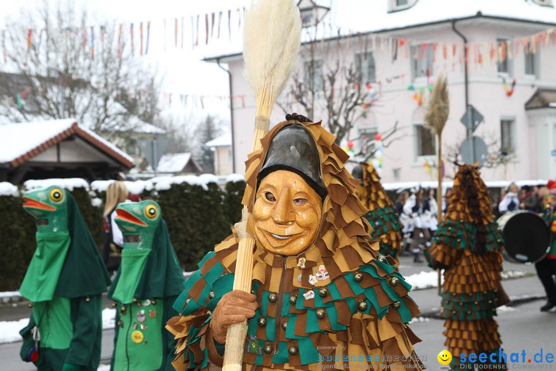 Narrentreffen-Radolfzell-20012013-bodensee-community-seechat-de_159.JPG