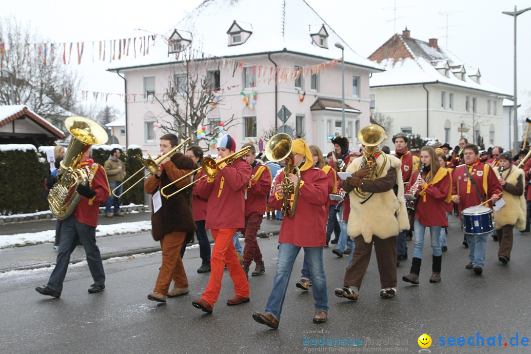 Narrentreffen-Radolfzell-20012013-bodensee-community-seechat-de_16.JPG