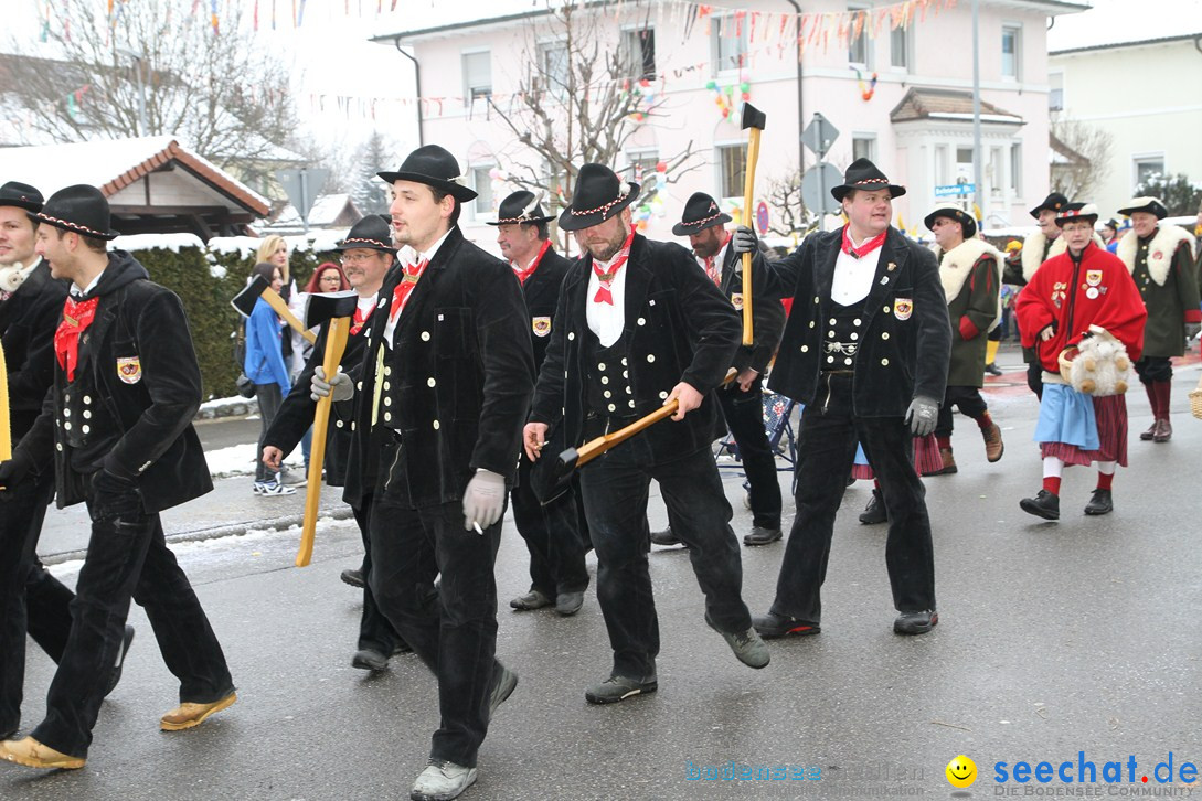 Narrentreffen-Radolfzell-20012013-bodensee-community-seechat-de_160.JPG