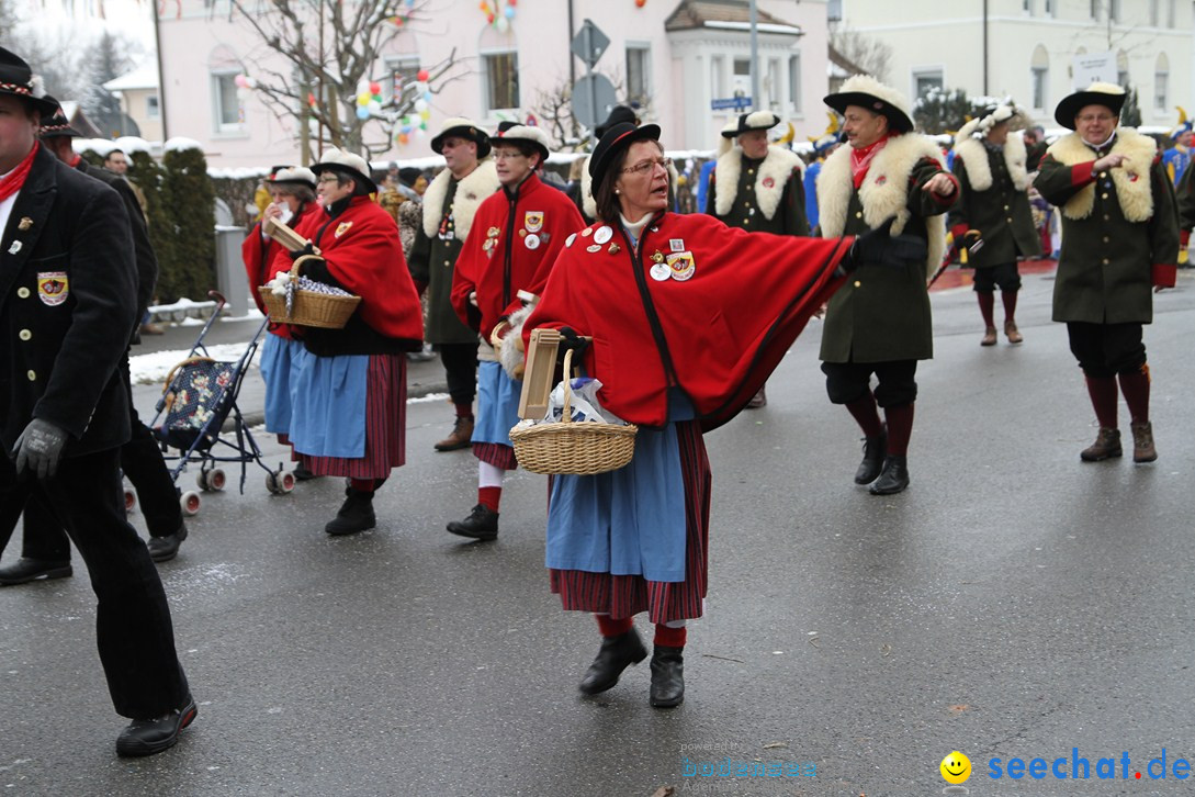 Narrentreffen-Radolfzell-20012013-bodensee-community-seechat-de_161.JPG