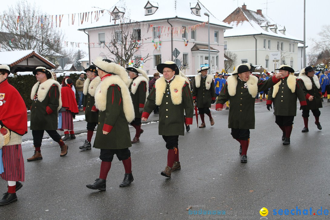 Narrentreffen-Radolfzell-20012013-bodensee-community-seechat-de_162.JPG