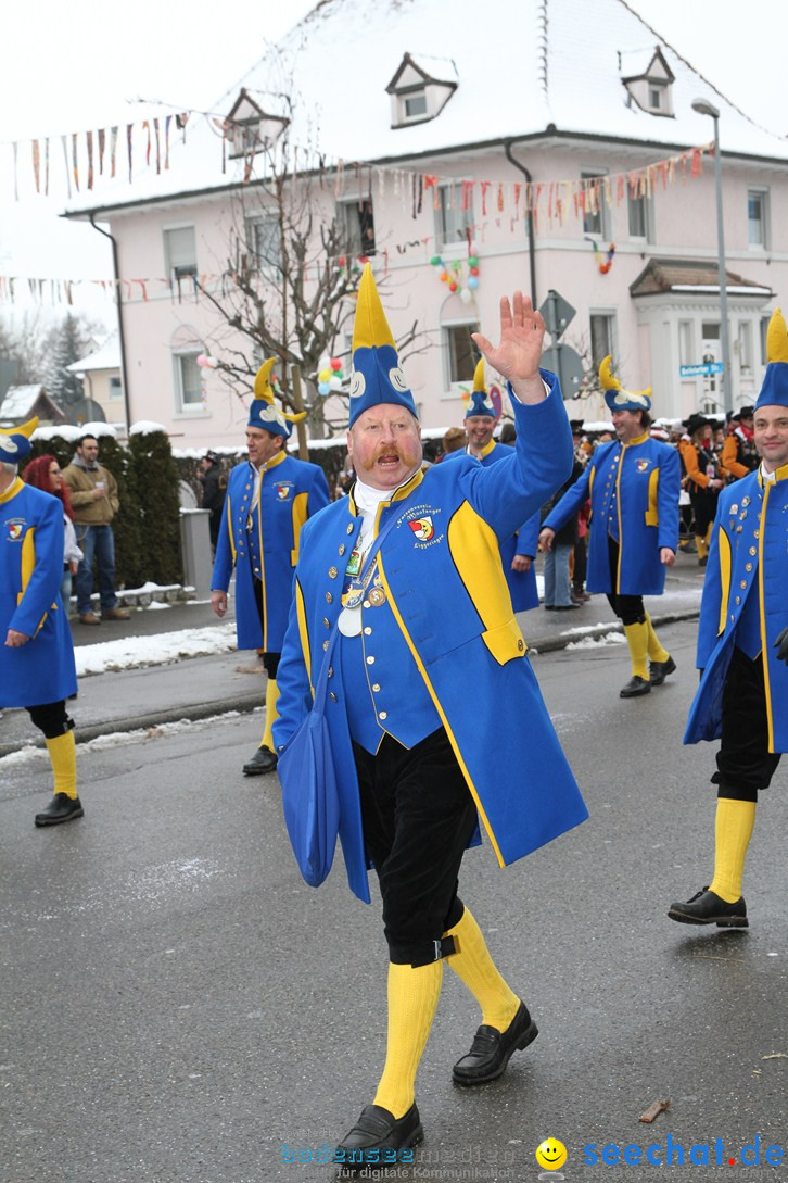 Narrentreffen-Radolfzell-20012013-bodensee-community-seechat-de_163.JPG