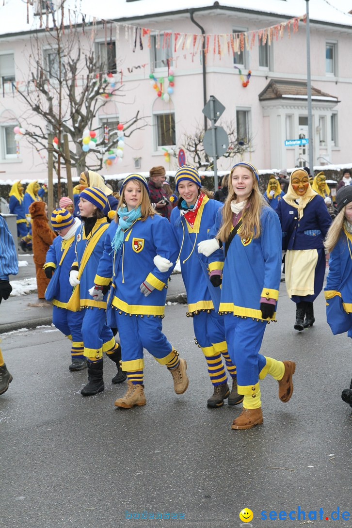 Narrentreffen-Radolfzell-20012013-bodensee-community-seechat-de_168.JPG