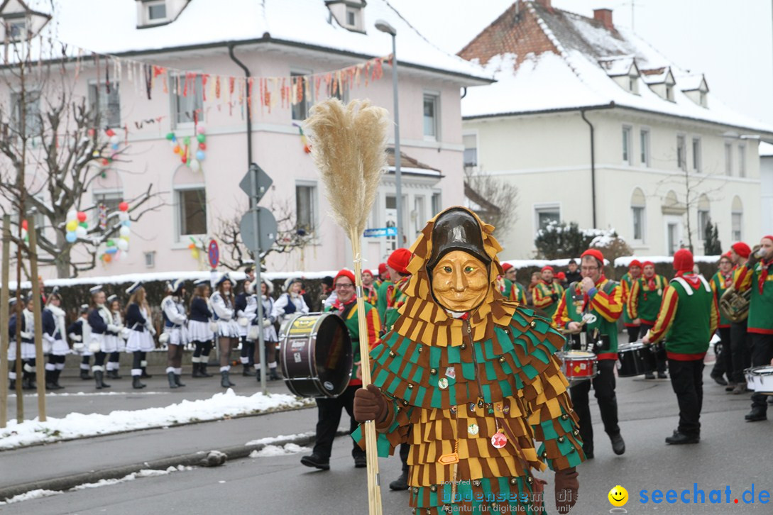 Narrentreffen-Radolfzell-20012013-bodensee-community-seechat-de_169.JPG