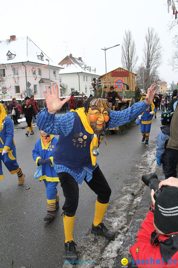 Narrentreffen-Radolfzell-20012013-bodensee-community-seechat-de_172.JPG