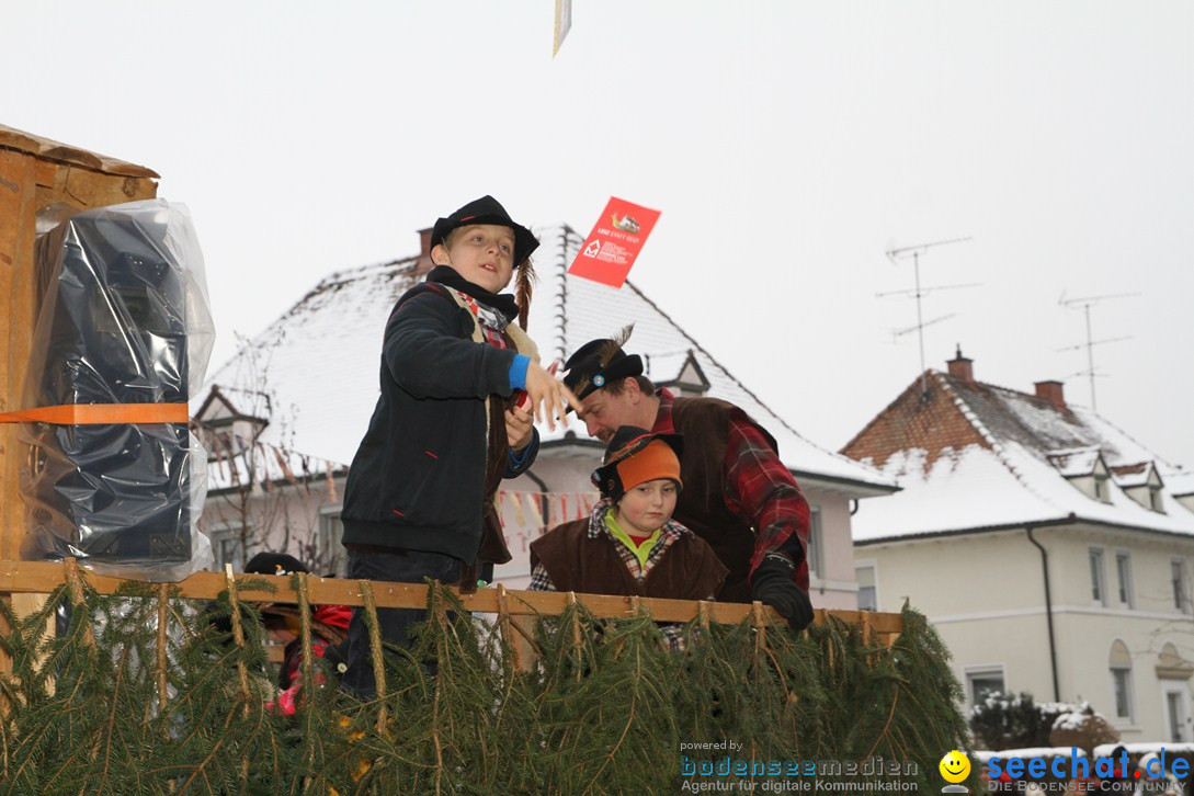 Narrentreffen-Radolfzell-20012013-bodensee-community-seechat-de_173.JPG