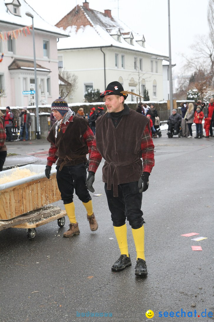 Narrentreffen-Radolfzell-20012013-bodensee-community-seechat-de_174.JPG