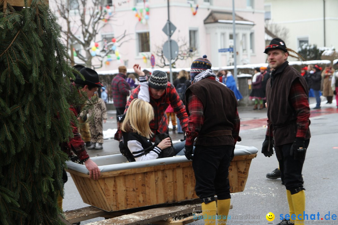 Narrentreffen-Radolfzell-20012013-bodensee-community-seechat-de_175.JPG