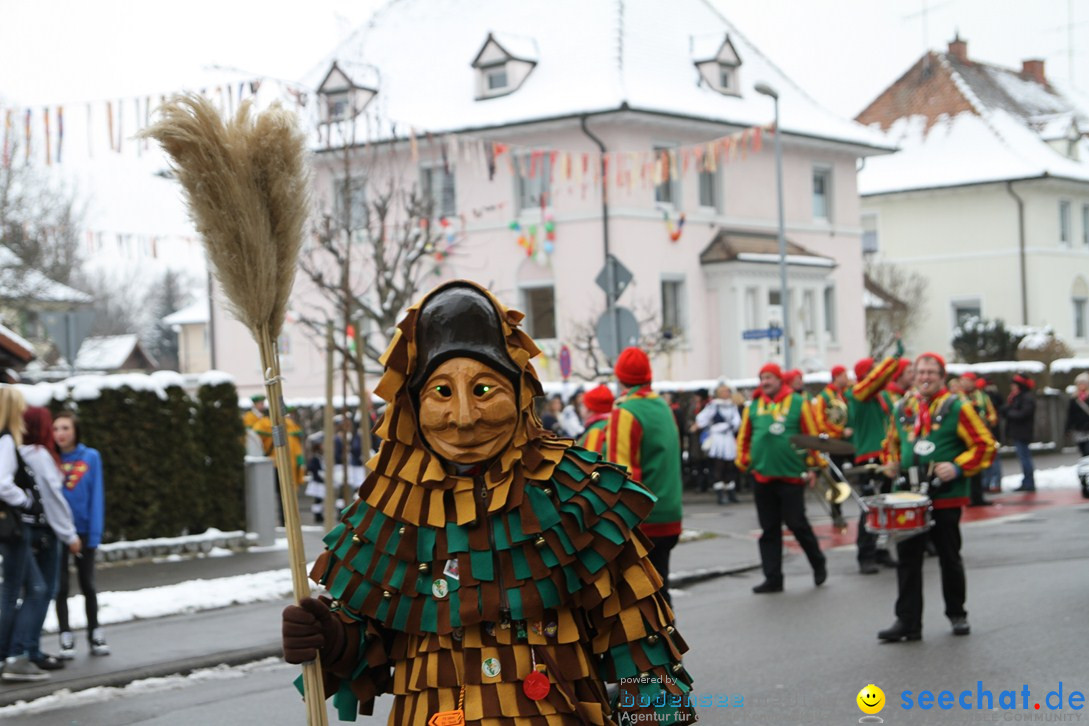 Narrentreffen-Radolfzell-20012013-bodensee-community-seechat-de_179.JPG