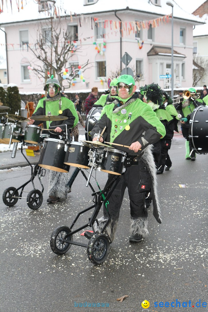 Narrentreffen-Radolfzell-20012013-bodensee-community-seechat-de_180.JPG