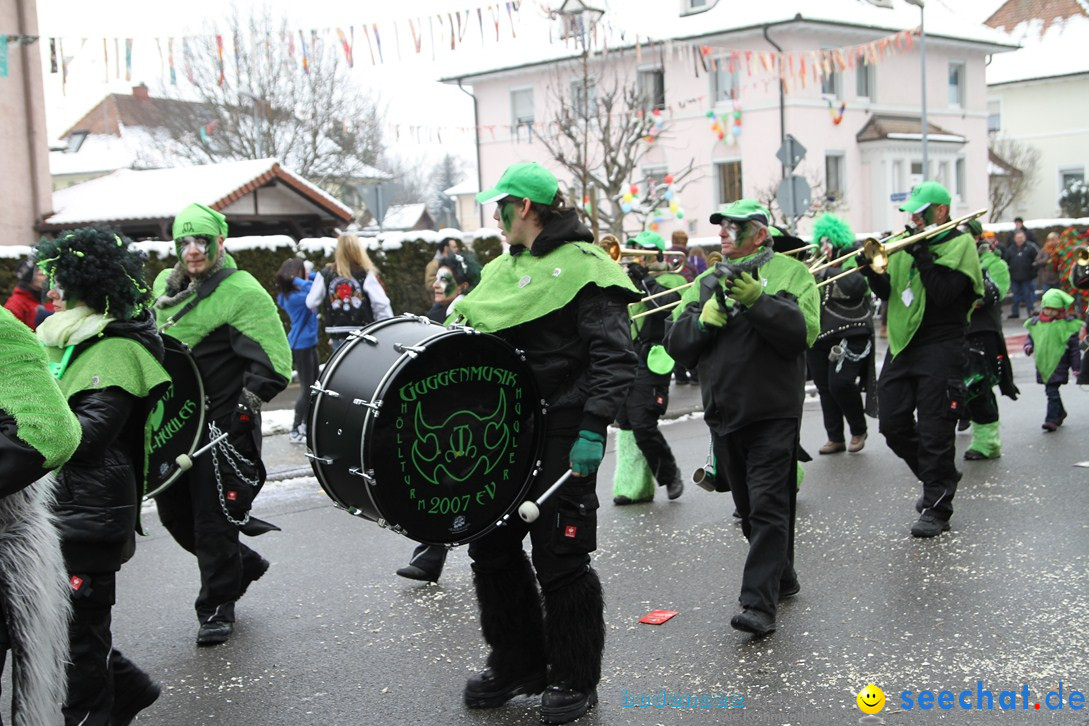 Narrentreffen-Radolfzell-20012013-bodensee-community-seechat-de_181.JPG