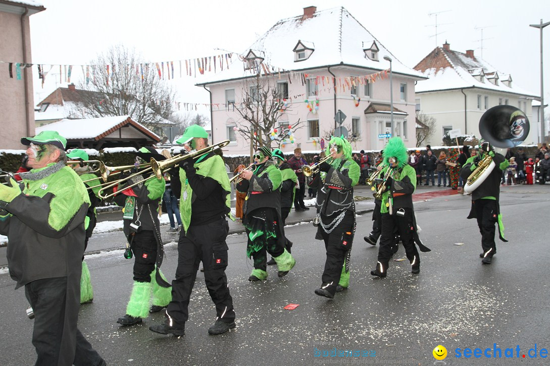 Narrentreffen-Radolfzell-20012013-bodensee-community-seechat-de_182.JPG