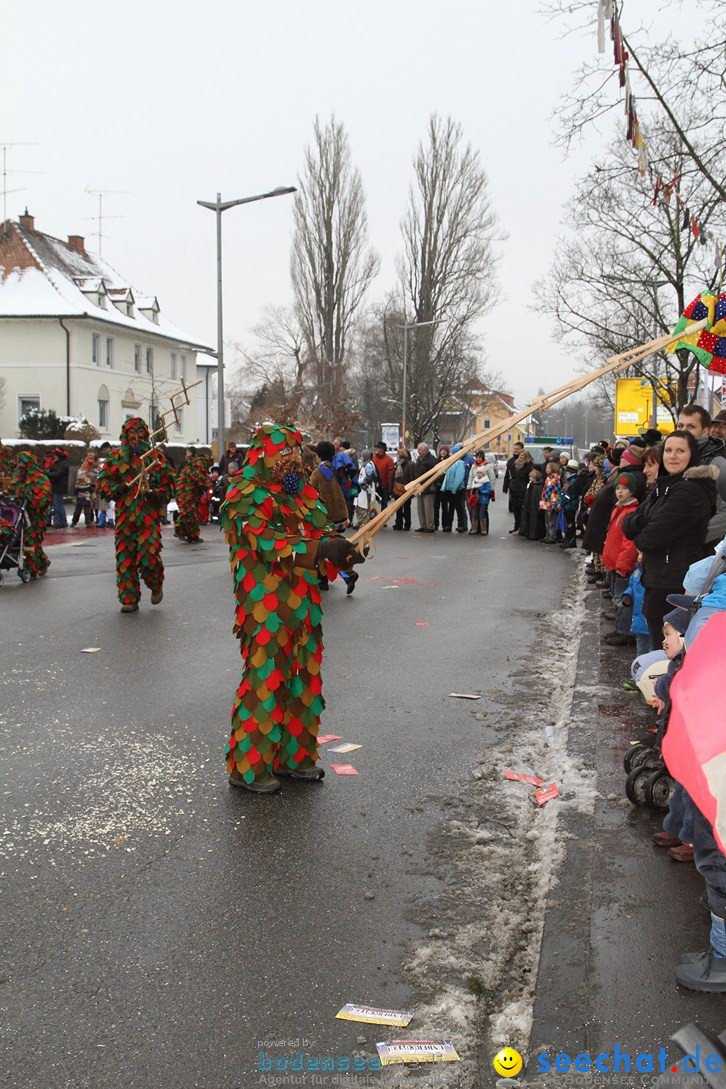 Narrentreffen-Radolfzell-20012013-bodensee-community-seechat-de_183.JPG