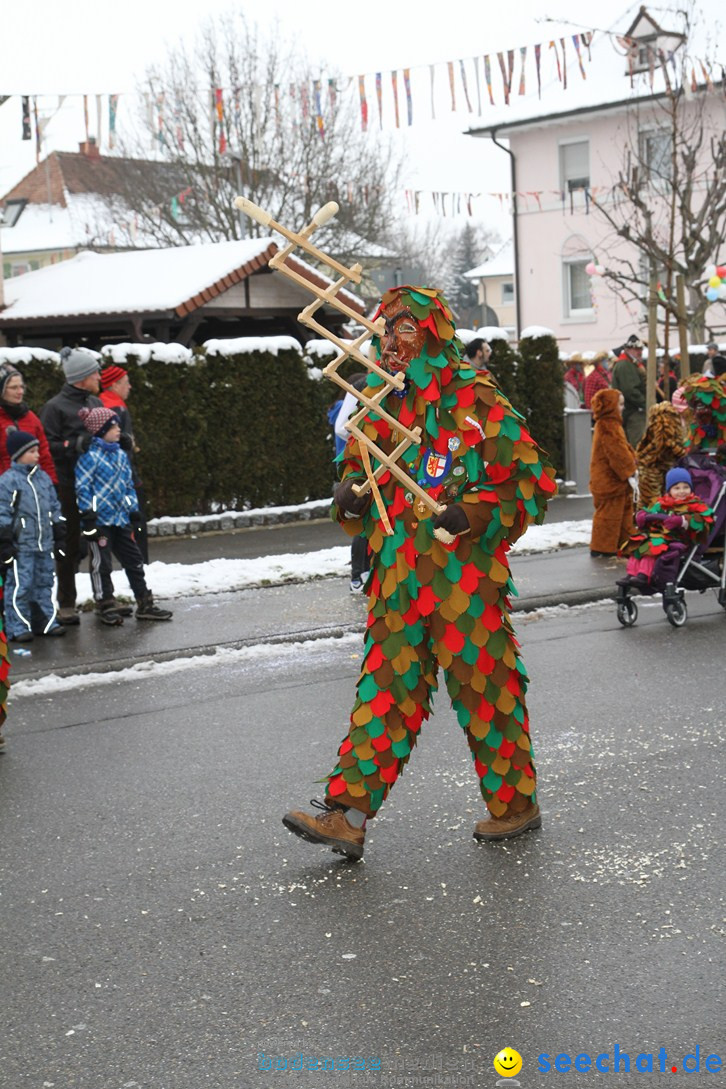 Narrentreffen-Radolfzell-20012013-bodensee-community-seechat-de_184.JPG