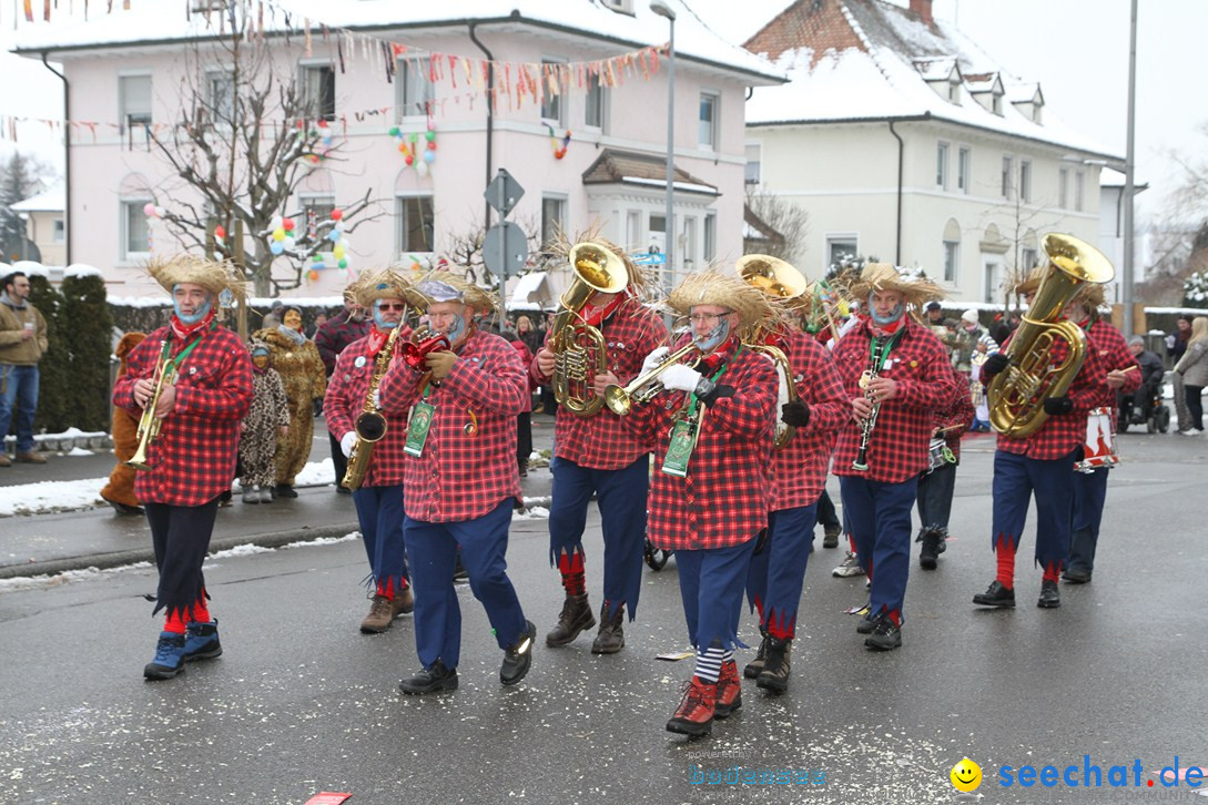 Narrentreffen-Radolfzell-20012013-bodensee-community-seechat-de_186.JPG