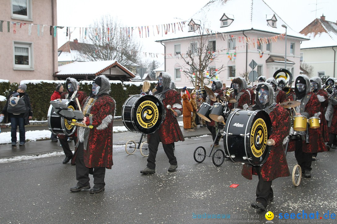 Narrentreffen-Radolfzell-20012013-bodensee-community-seechat-de_187.JPG