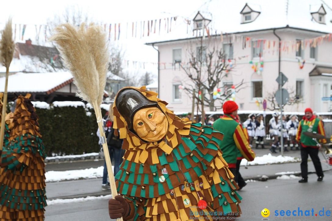 Narrentreffen-Radolfzell-20012013-bodensee-community-seechat-de_189.JPG