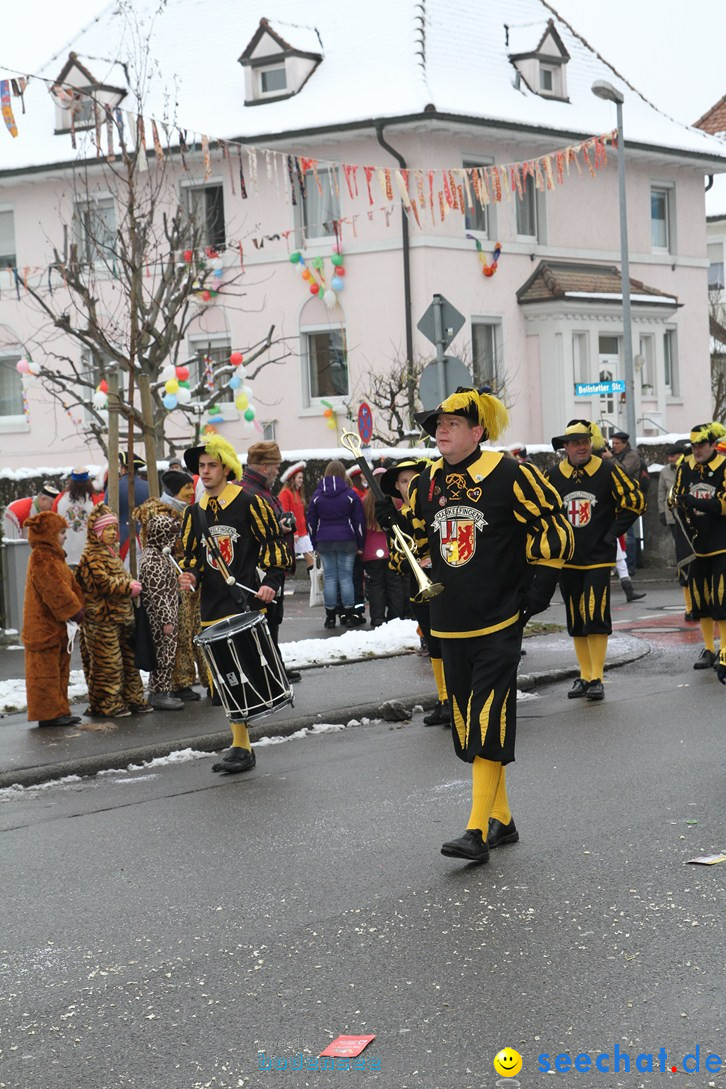 Narrentreffen-Radolfzell-20012013-bodensee-community-seechat-de_190.JPG