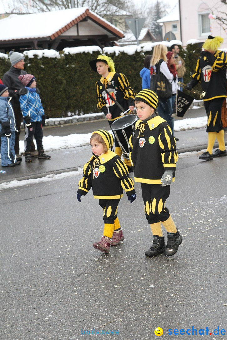 Narrentreffen-Radolfzell-20012013-bodensee-community-seechat-de_192.JPG