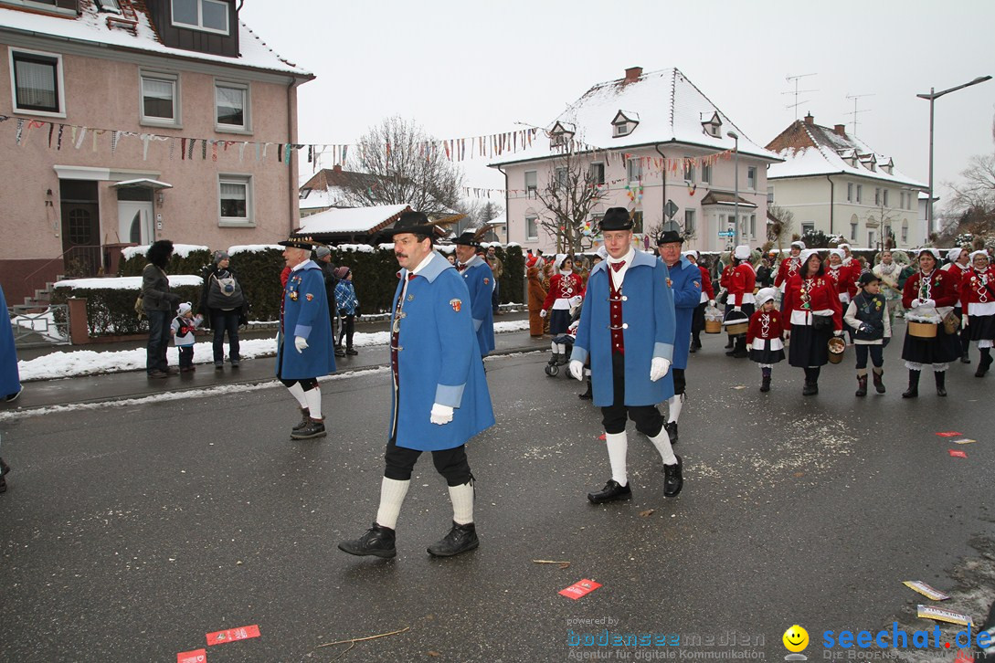 Narrentreffen-Radolfzell-20012013-bodensee-community-seechat-de_198.JPG