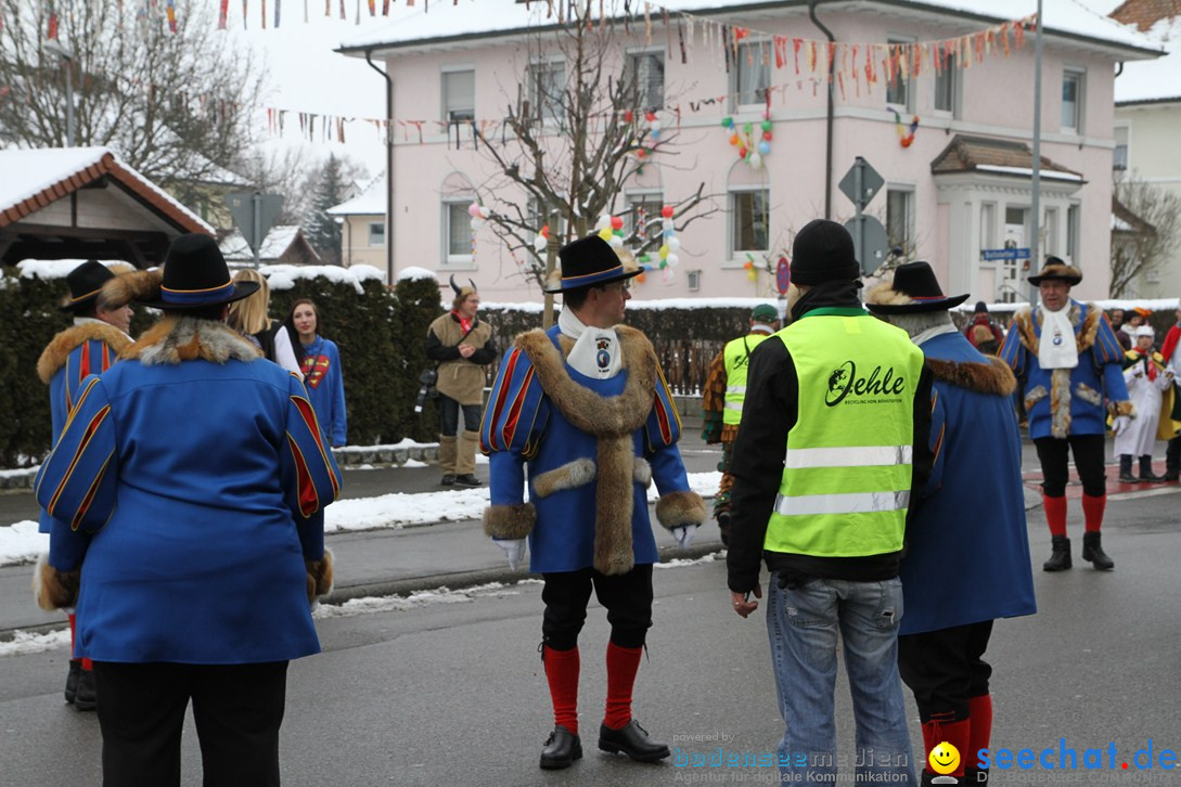 Narrentreffen-Radolfzell-20012013-bodensee-community-seechat-de_199.JPG