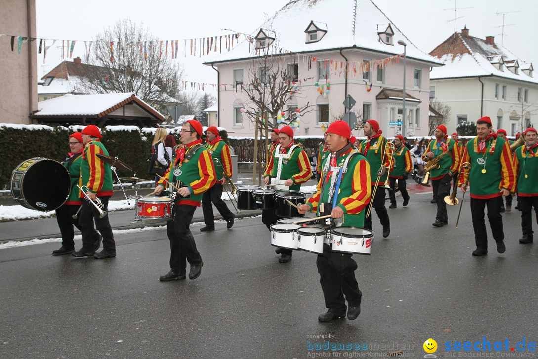 Narrentreffen-Radolfzell-20012013-bodensee-community-seechat-de_2.JPG