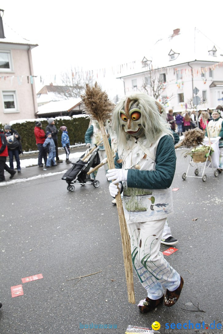 Narrentreffen-Radolfzell-20012013-bodensee-community-seechat-de_20.JPG