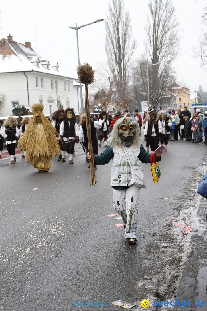 Narrentreffen-Radolfzell-20012013-bodensee-community-seechat-de_201.JPG