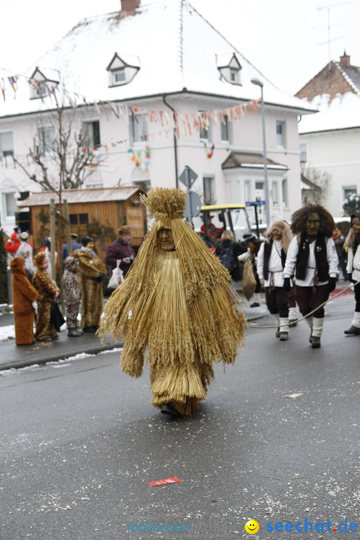 Narrentreffen-Radolfzell-20012013-bodensee-community-seechat-de_202.JPG