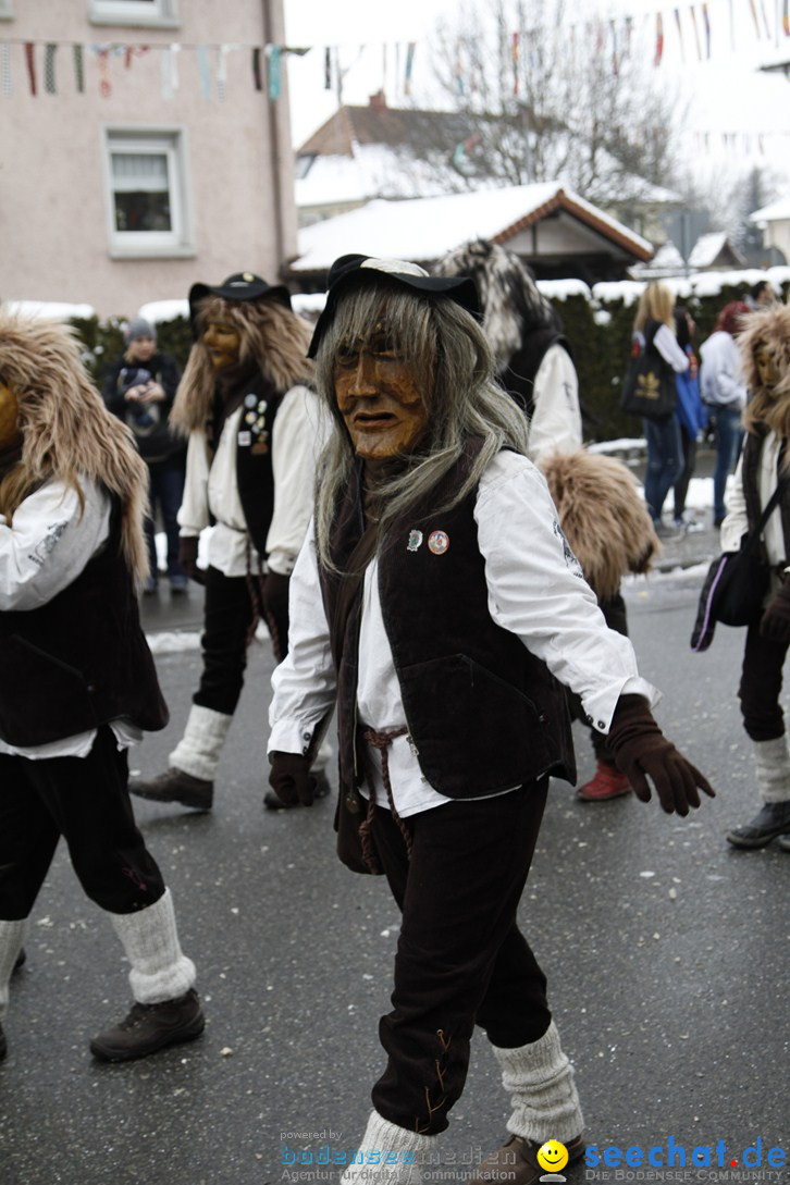 Narrentreffen-Radolfzell-20012013-bodensee-community-seechat-de_205.JPG