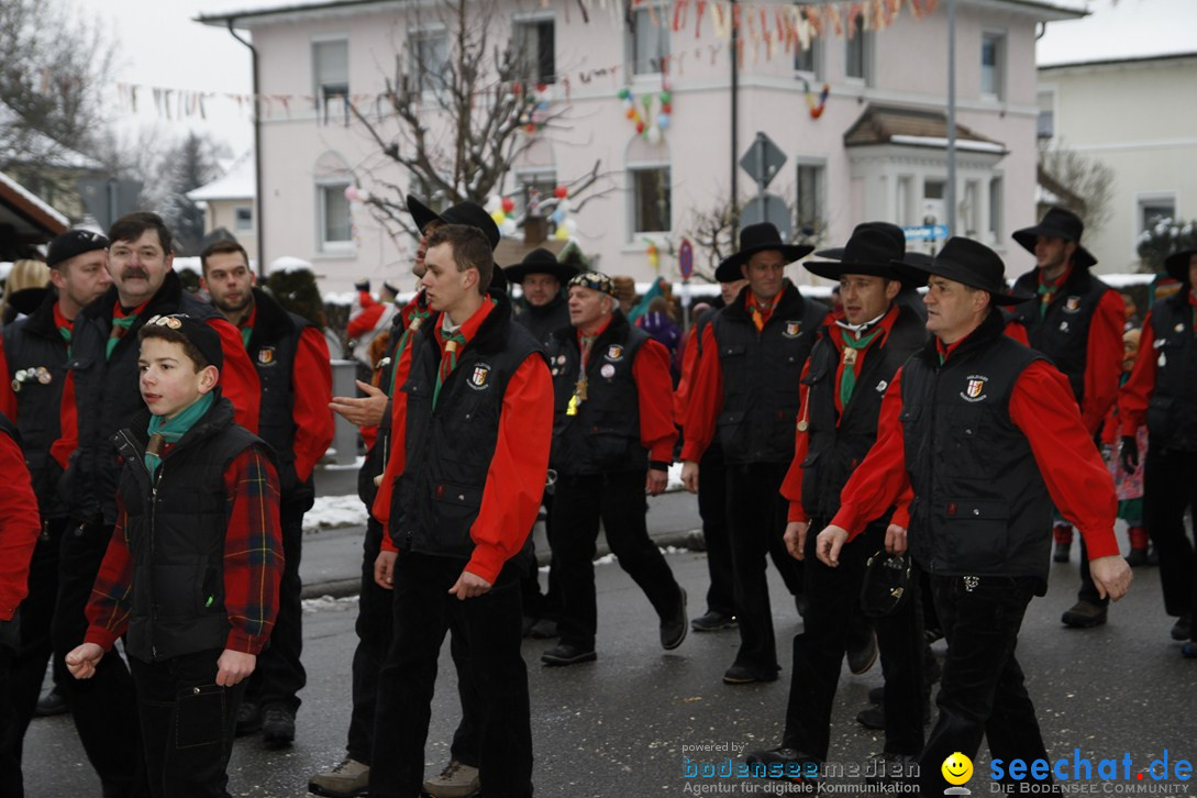 Narrentreffen-Radolfzell-20012013-bodensee-community-seechat-de_207.JPG