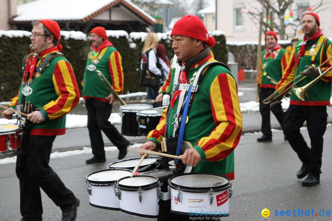 Narrentreffen-Radolfzell-20012013-bodensee-community-seechat-de_209.JPG