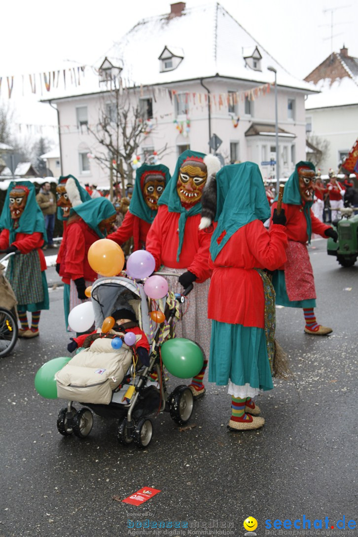 Narrentreffen-Radolfzell-20012013-bodensee-community-seechat-de_212.JPG