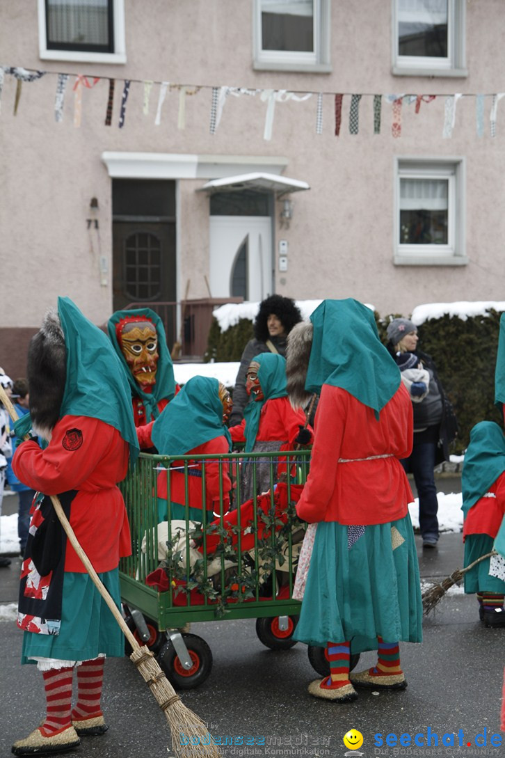 Narrentreffen-Radolfzell-20012013-bodensee-community-seechat-de_213.JPG