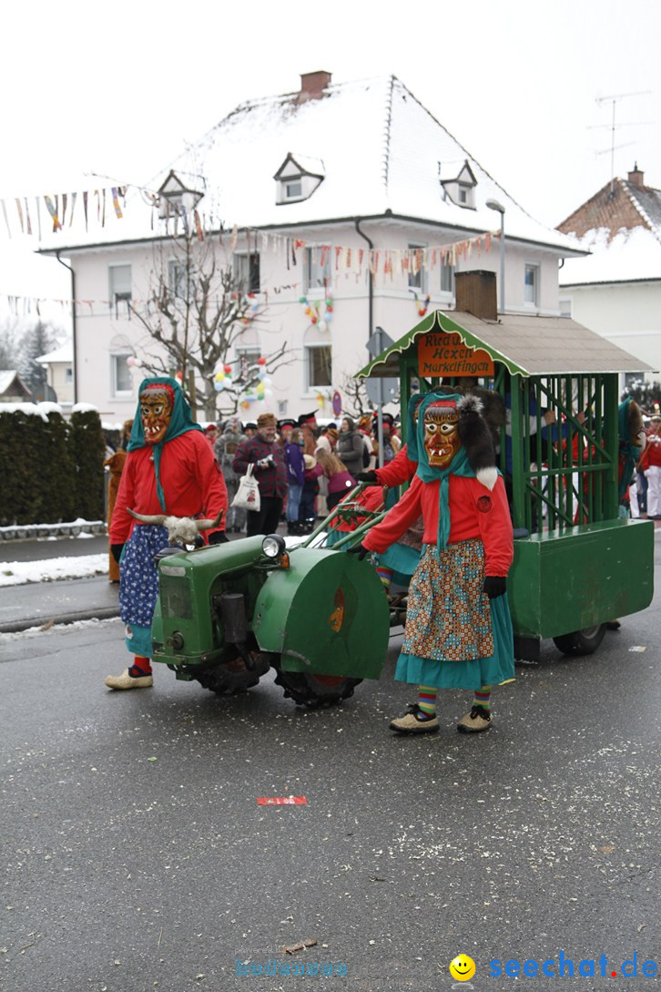 Narrentreffen-Radolfzell-20012013-bodensee-community-seechat-de_214.JPG